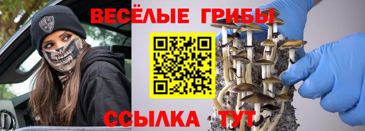 Городец  Галлюциногенные грибы прущие грибы  Вход с VPN 